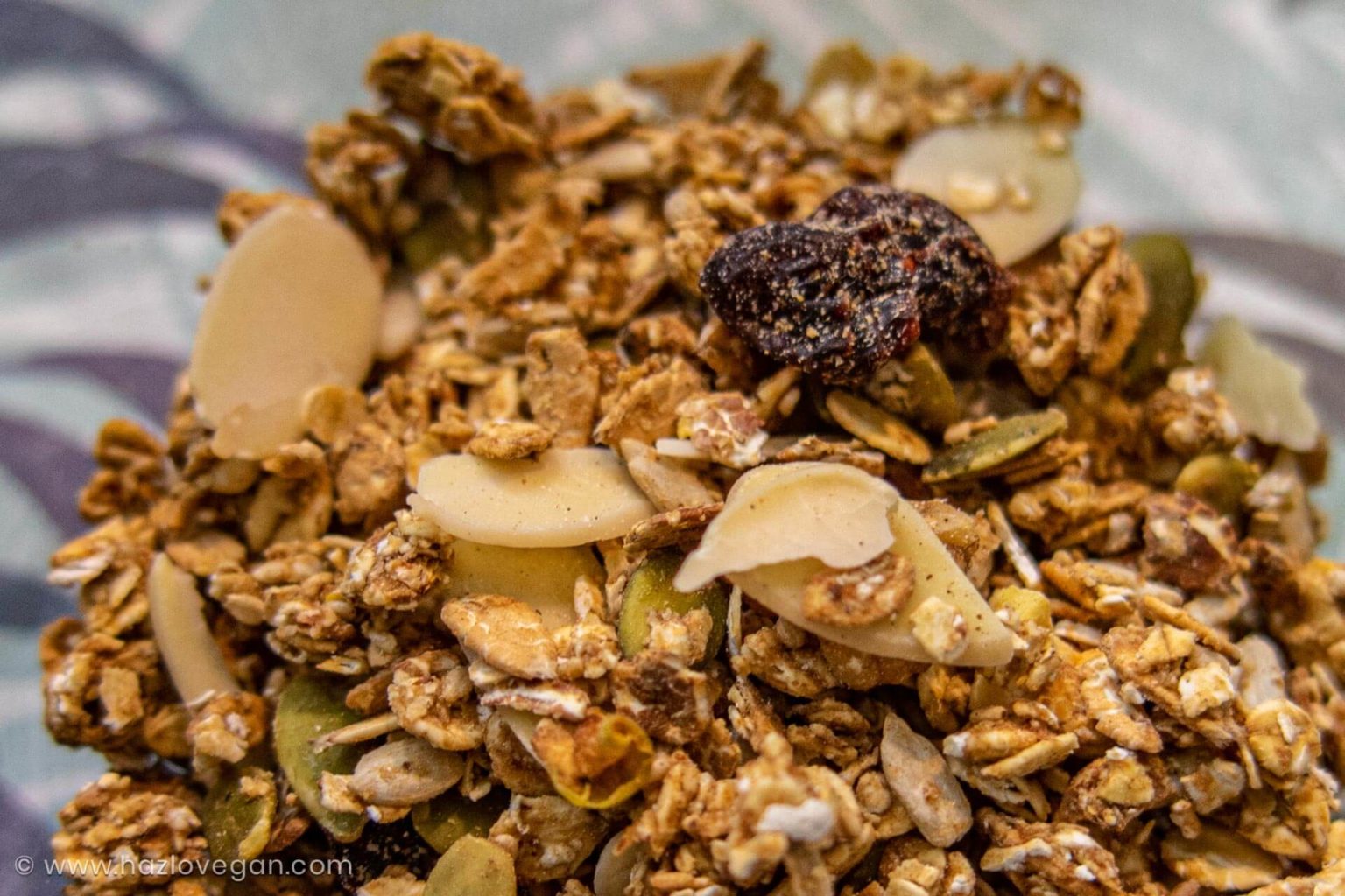 Granola vegana sin azúcar refinada, aceite ni miel Hazlo Vegan