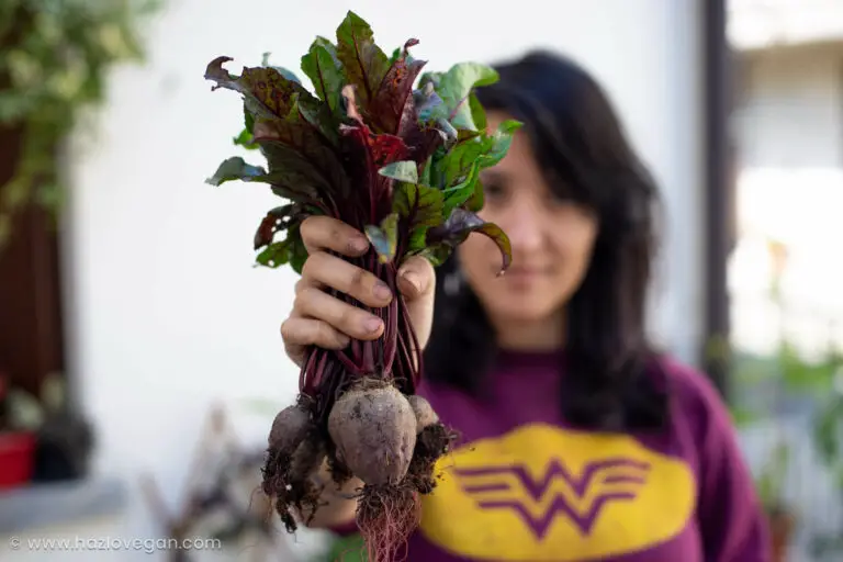 Cosecha del huerto Hazlo Vegan