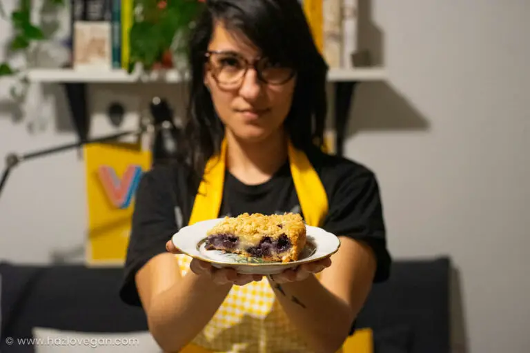 Tarta de arándanos vegana