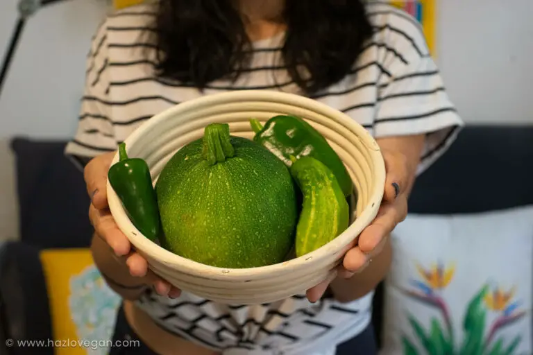 Cosecha del huerto Hazlo Vegan