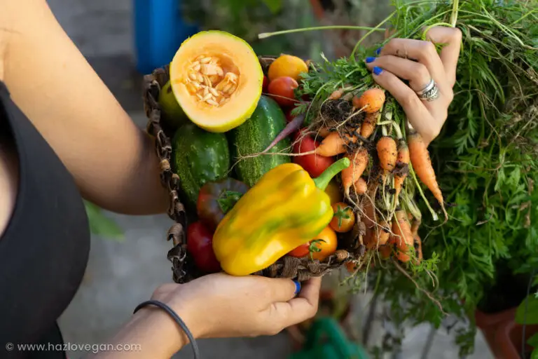 Cosecha del huerto Hazlo Vegan