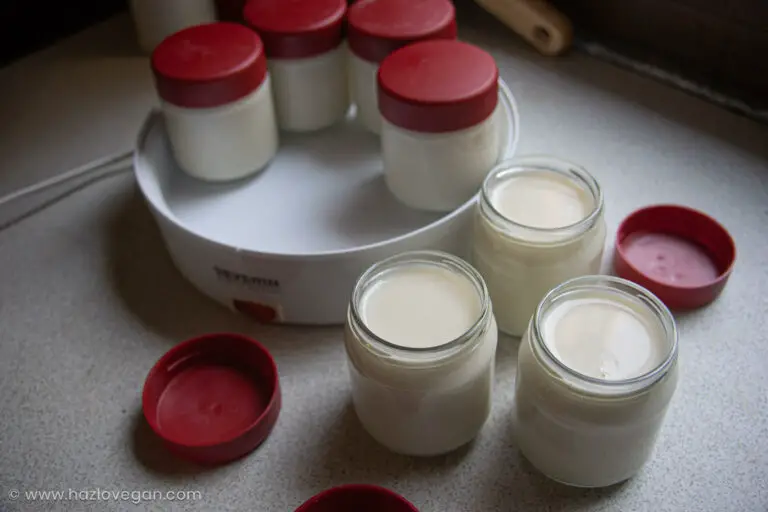 Yogurt vegano cremoso en yogurtera - Hazlo Vegan
