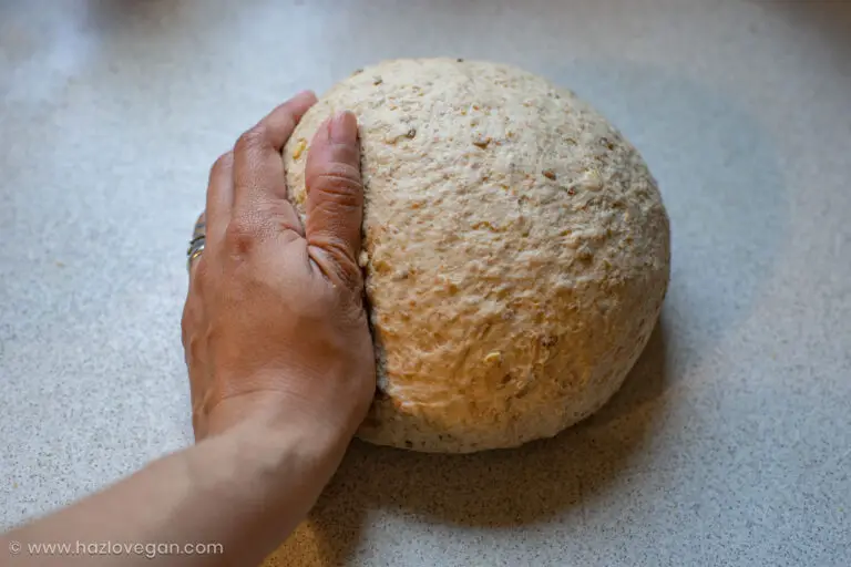 Masa reposada de pan de molde integral proteico - Hazlo Vegan