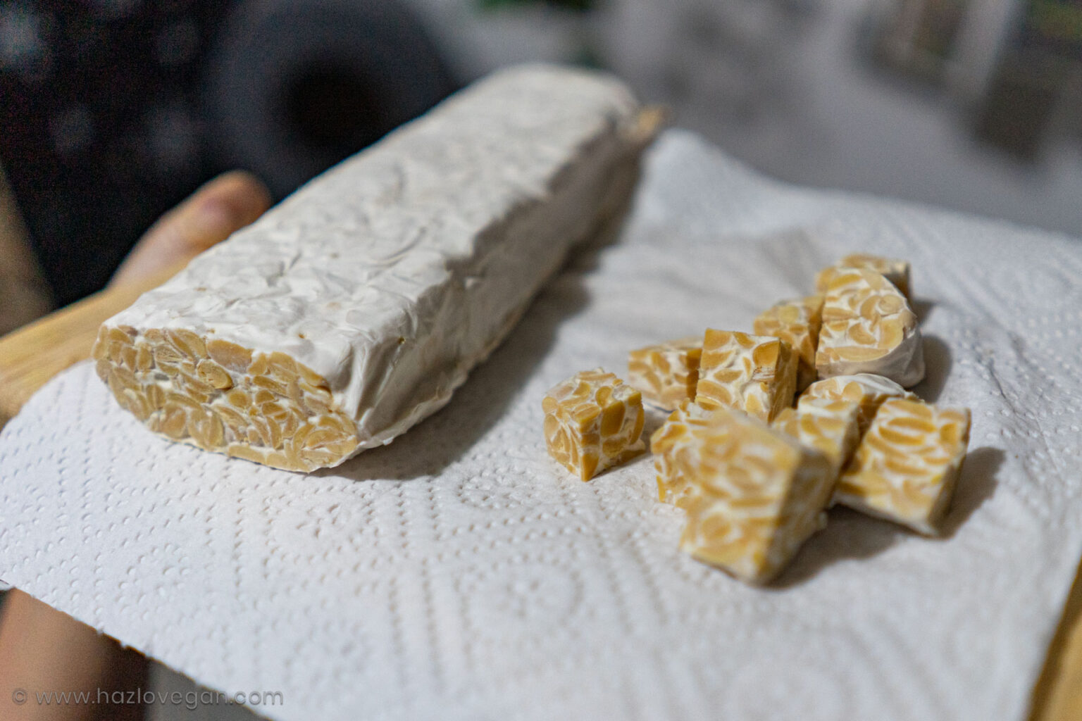 Wat is tempeh